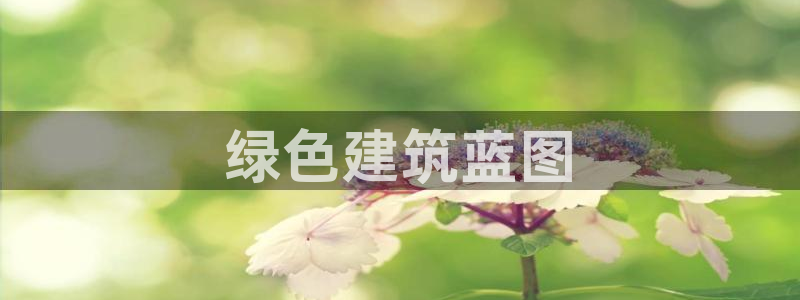 彩名堂为什么打不开：绿色建筑蓝图
