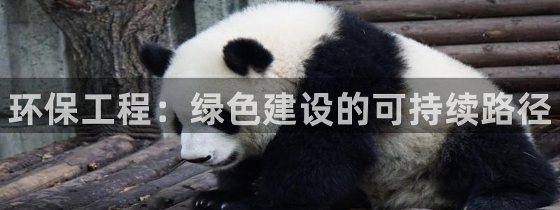 彩名堂app下载5.1.0：环保工程：绿色建设的可持续路径
