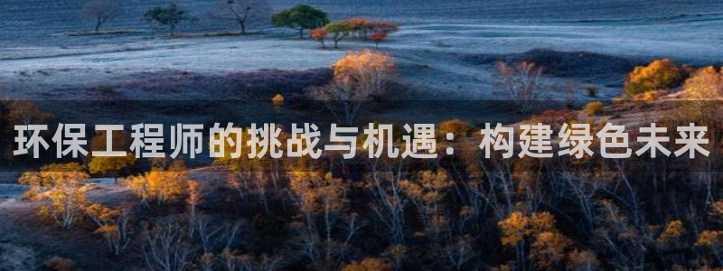 老版彩名堂：环保工程师的挑战与机遇：