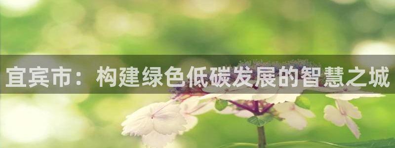 下载彩名堂预测计划软件：宜宾市：构建