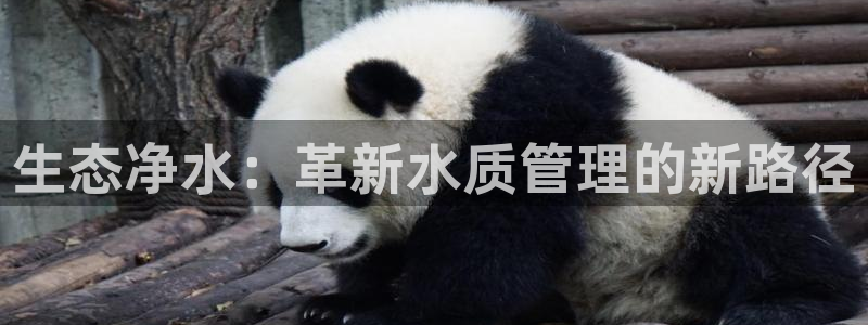彩名堂移动客户端官网：生态净水：革新
