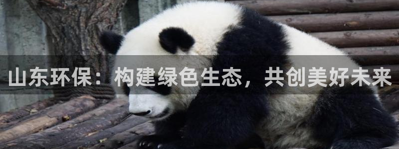 彩名堂怎么打最稳：山东环保：构建绿色