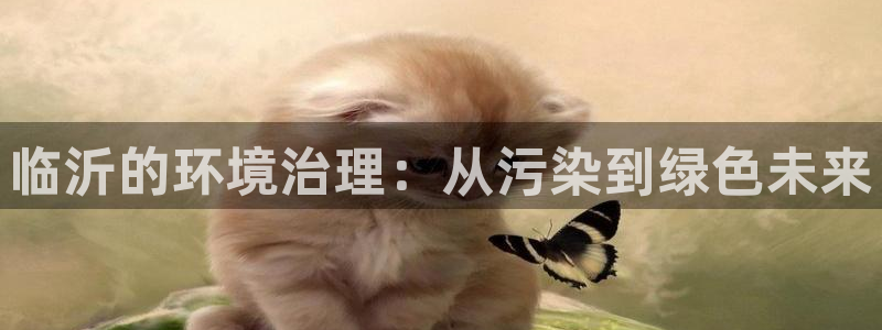 彩名堂最新预测3d：临沂的环境治理：