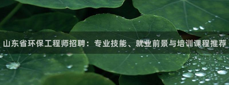 彩名堂计划怎么跟,为什么我一跟就挂：山东省环保工程师招聘：专业技能、就业前景与培训课程推荐