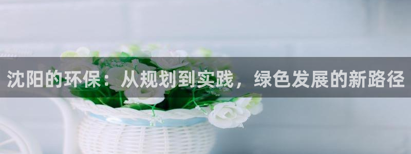 彩名堂怎么用不输：沈阳的环保：从规划