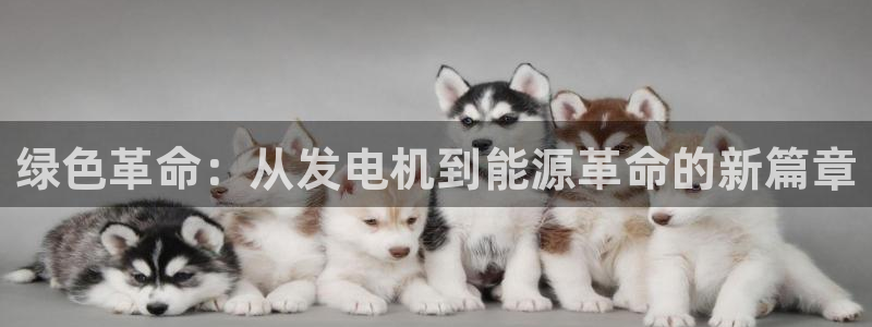 彩名堂最新预测3d：绿色革命：从发电
