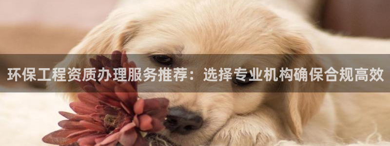 彩名堂计划app安卓免费下载：环保工
