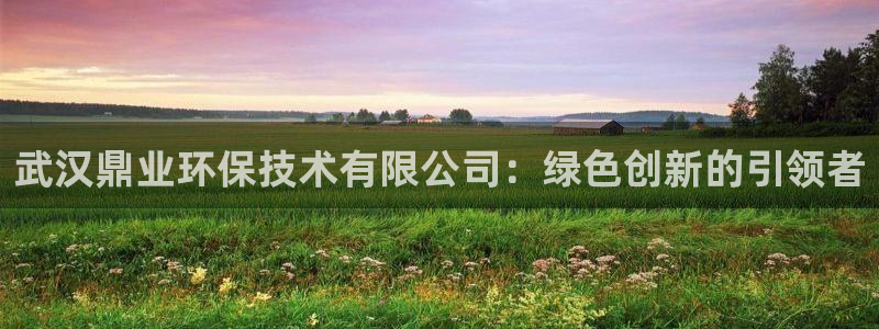 彩名堂移动客户端怎么下载：武汉鼎业环
