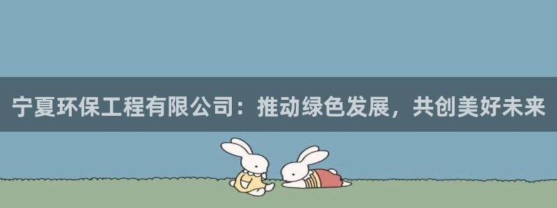 彩名堂人工预测免费计划：宁夏环保工程