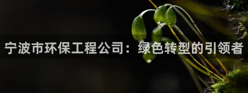 彩名堂一直不出结果怎么回事呀：宁波市