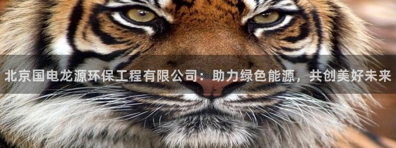 正规彩名堂官网计划：北京国电龙源环保