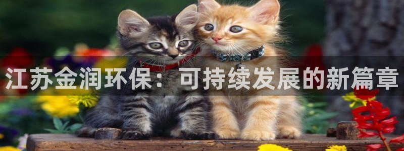 彩名堂计划技巧有哪些：江苏金润环保：