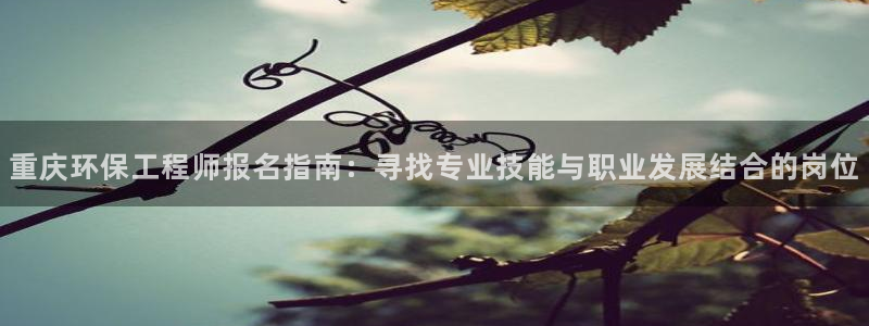 彩名堂免费计划使用方法是什么：重庆环