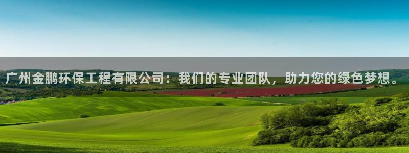 彩名堂官网：广州金鹏环保工程有限公司