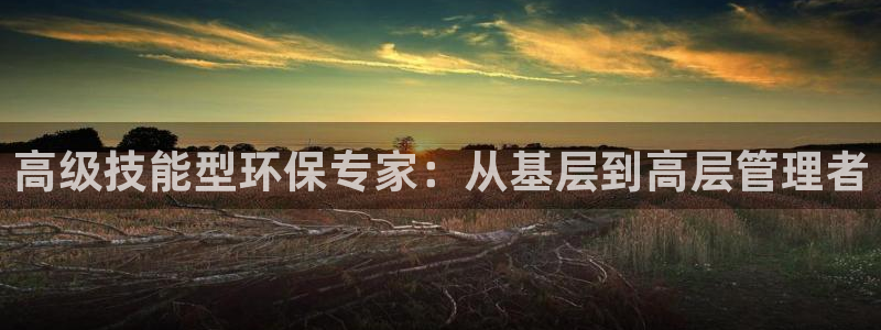 彩名堂官网2：高级技能型环保专家：从基层到高层管理者