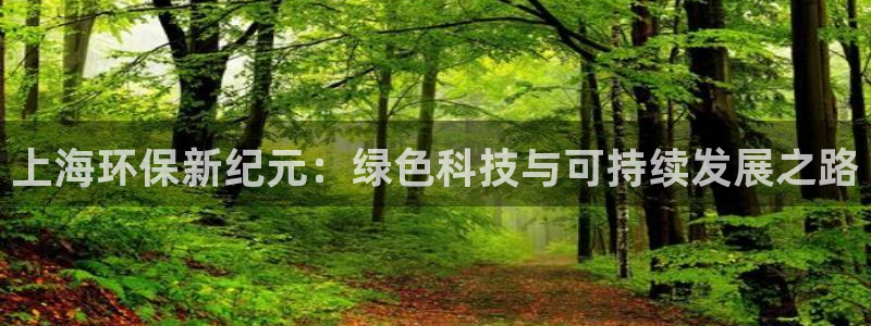 彩名堂.netnet：上海环保新纪元：绿色科技与可持续发展之