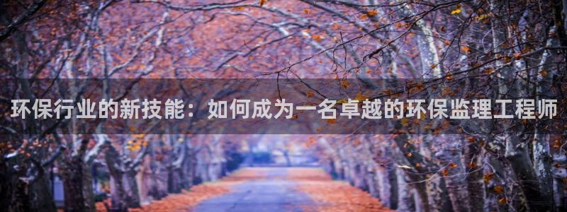 彩名堂怎么跟计划才不连挂呢：环保行业的新技能：如何成为一名卓