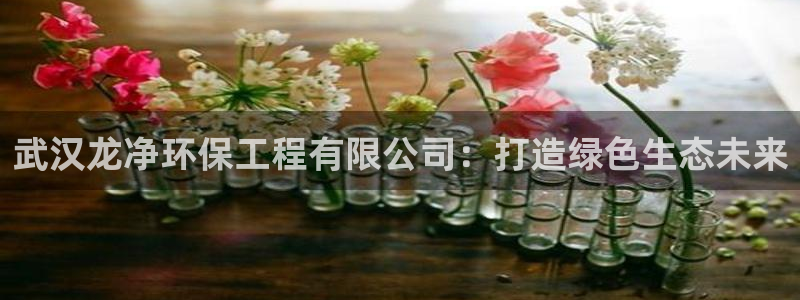 为什么彩名堂今天不能用：武汉龙净环保
