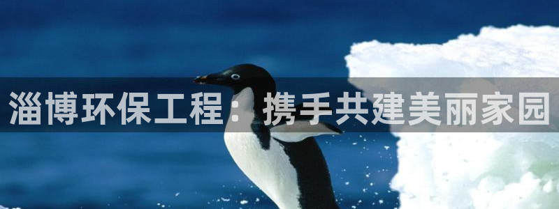 彩名堂计划和01计划怎么很稳：淄博环保工程：携手共建美丽家园