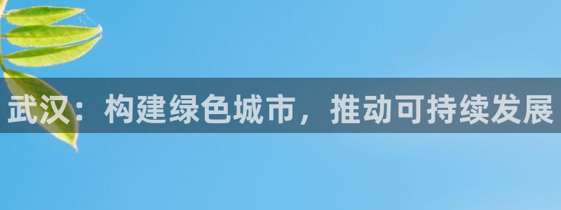 彩名堂官网计划怎么下载到手机：武汉：