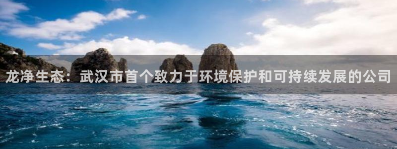 彩名堂怎么买准确率高一点：龙净生态：