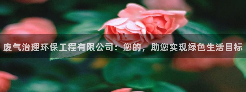 彩名堂是不是坑人的：废气治理环保工程