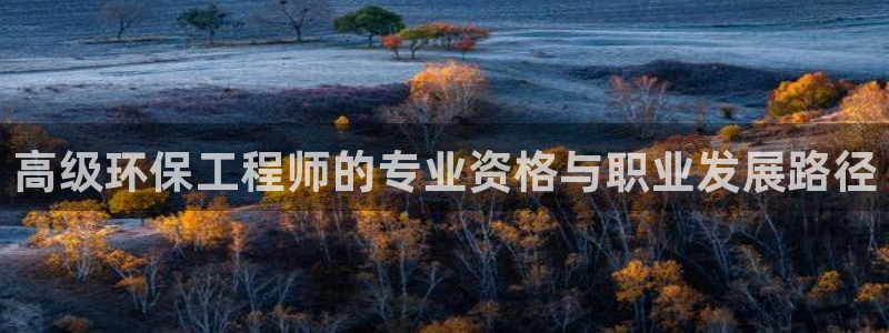 彩名堂网页：高级环保工程师的专业资格