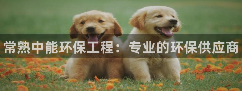 彩名堂人工计划怎么找不到下载了?：常熟中能环保工程：专业的环