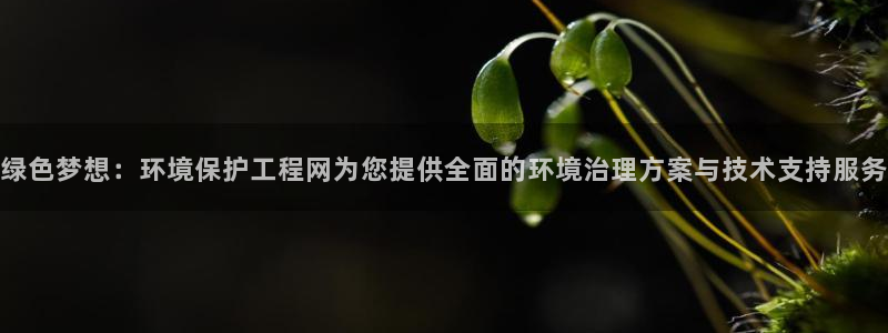 彩名堂一直不出结果怎么回事儿：绿色梦