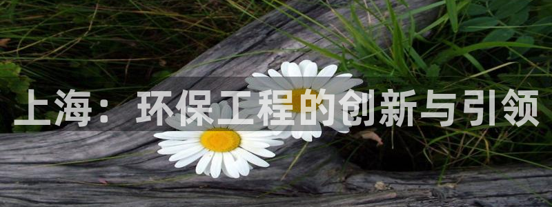 彩名堂5.0计划永久免费版为什么下不了：上海：环保工程的创新