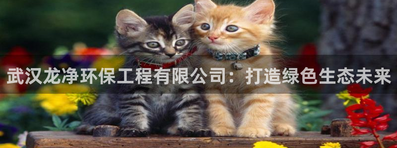 彩名堂彩：武汉龙净环保工程有限公司：