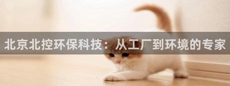 彩名堂一直不出结果怎么回事：北京北控