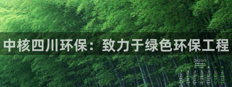 彩名堂最新免费计划官网：中核四川环保