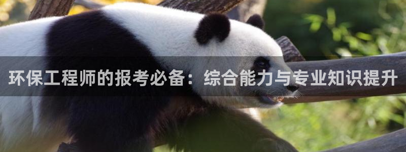 彩名堂还可以用吗：环保工程师的报考必