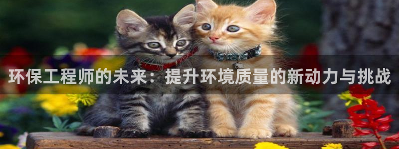 彩名堂计划怎么跟,为什么我一跟就挂：