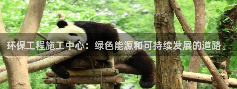 彩名堂安卓客户端官网：环保工程施工中