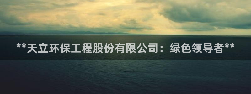 正规彩名堂官网计划：**天立环保工程