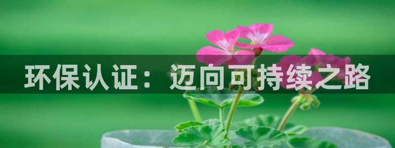 彩名堂幸运飞船计划：环保认证：迈向可持续之路