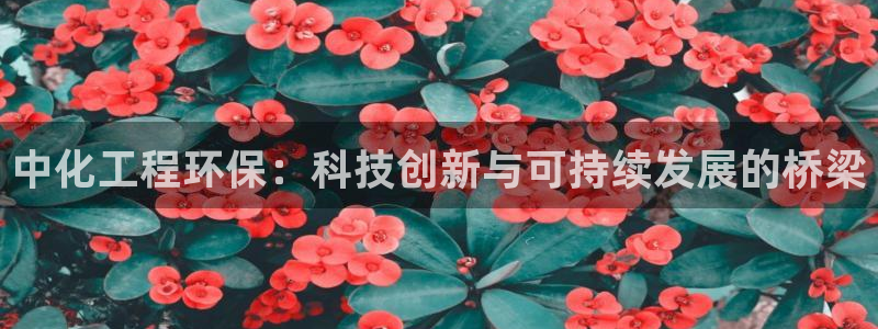 彩名堂为什么突然不能用了：中化工程环