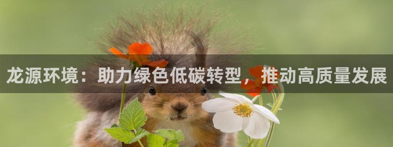 彩名堂计划最新版手机版：龙源环境：助