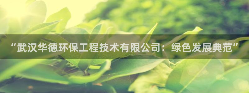 彩名堂怎么跟计划才不连挂呢：“武汉华德环保工程技术有限公司：