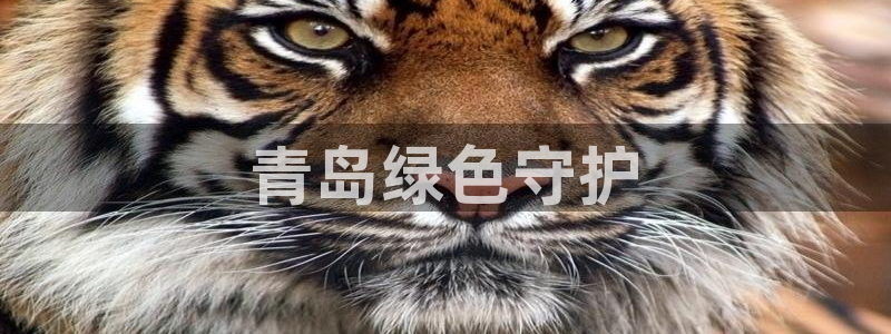 彩名堂50版本计划：青岛绿色守护