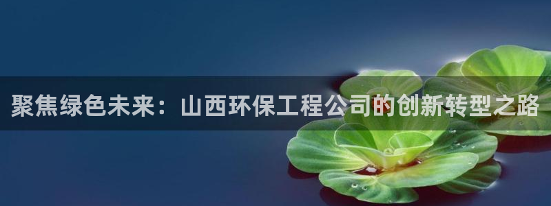 彩名堂app官网：聚焦绿色未来：山西