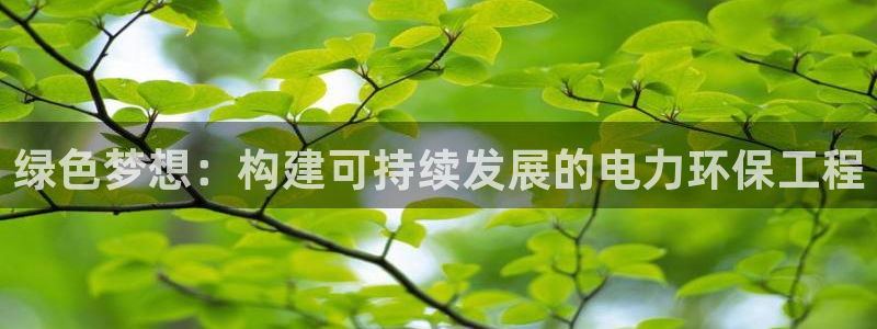 彩名堂彩：绿色梦想：构建可持续发展的电力环保工程