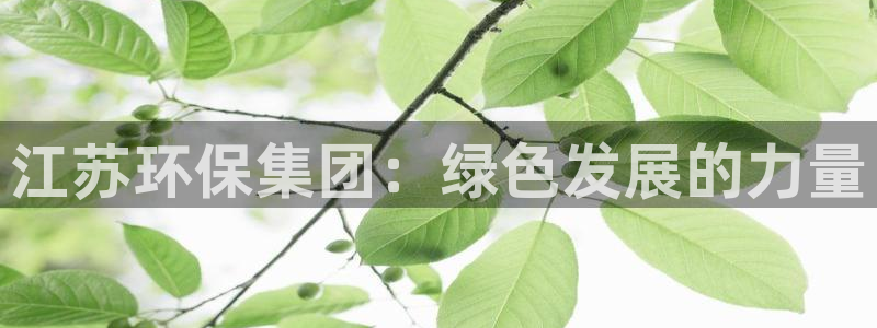 彩名堂最新版www：江苏环保集团：绿