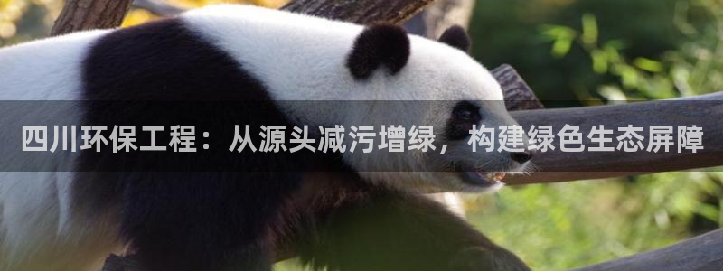 彩名堂预测计划：四川环保工程：从源头