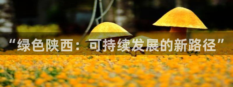 下载彩名堂预测计划软件安全吗：“绿色