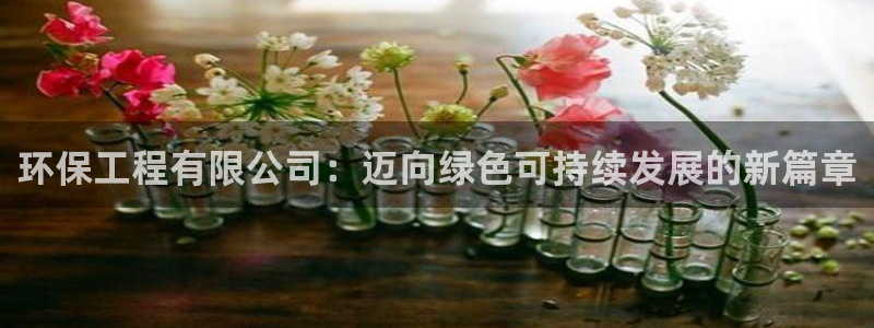 彩名堂为啥又不能用了：环保工程有限公