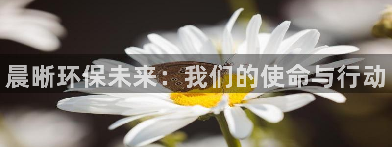 彩名堂手机客户端怎么进不去了：晨晰环