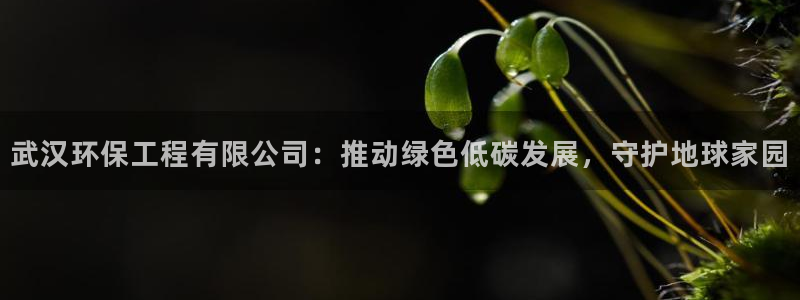 下载彩名堂预测计划软件安装：武汉环保工程有限公司：推动绿色低